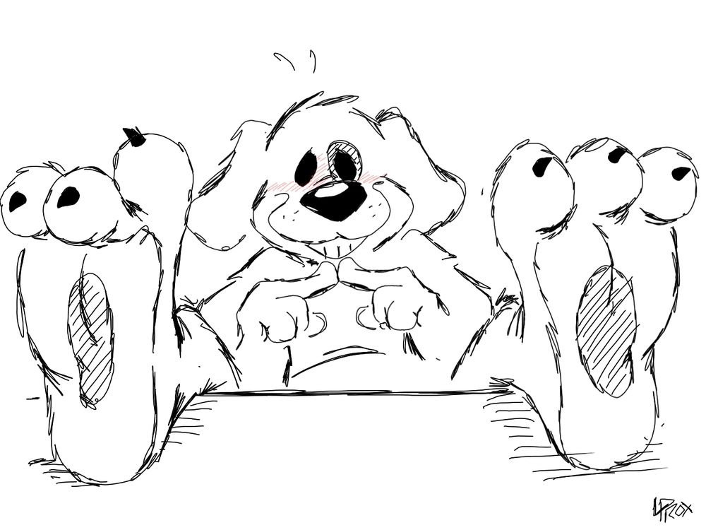 Ilo with paws on the table