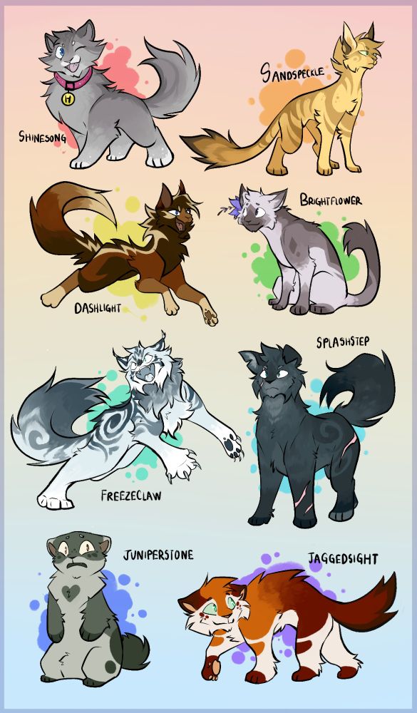 8 warrior cat character designs based off my own ocs
Shinesong  gray ticked tabby with blue eyes
Sandspeckle  gold striped tabby with green eyes
Dashlight tortieshell with lightning streak markings
brightflower gray bicolor cat with flower and purple eyes
Freezeclaw white classic tabby maine coon
Splashstep Dark smoke classic tabby with scars
Juniperstone grayish green munchkin 
Jaggedsight calico with green eyes