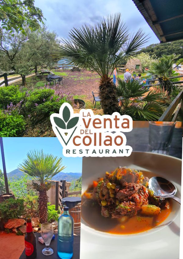 Ciclista 1: ¡Qué entorno tan bonito! Necesitábamos un alto en el camino. Ciclista 2: Y mira este lugar… vistas increíbles, comida espectacular. Camarera: Les recomiendo probar lo mejor de la casa. Ciclista 1: ¡Gracias! Qué profesional y encantadora. Ciclista 2: Siguiendo la carretera, hemos llegado a un restaurante de montaña con mucho encanto. Ambos: Todo buenísimo, servicio impecable. ¡Un hallazgo! #restaurantelaventadelcollaobenimaurell #foodiebenimaurell #cocinamediterraneaautentica #guisodejabali #vistasmaravillosas #esmeraldasaoro #senderismo