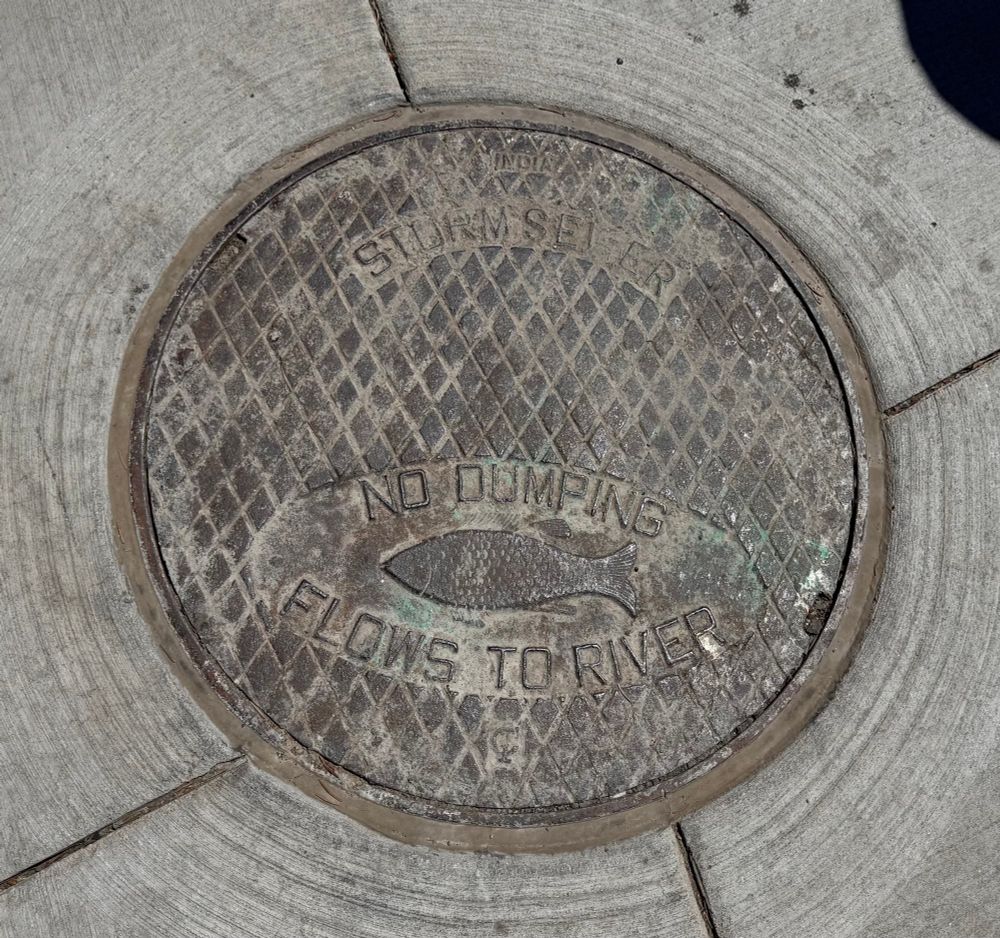 Manhole cover with fish.