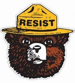 Image of Smokey Bear wearing hat that says "RESIST"
