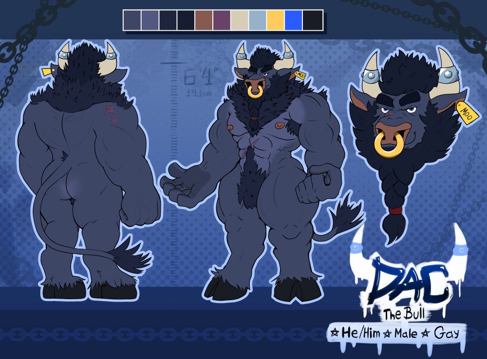 A large dark blue bull with golden ring nose piercing, silver horn braces and several scars 