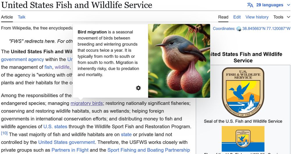Screenshot of the English Wikipedia page for the United States Fish and Wildlife Service, where the cursor is hovering over a link to the page on bird migration to trigger a site popup. The popup is accompanied by an AI-generated image of a bird with comically-large testicles.