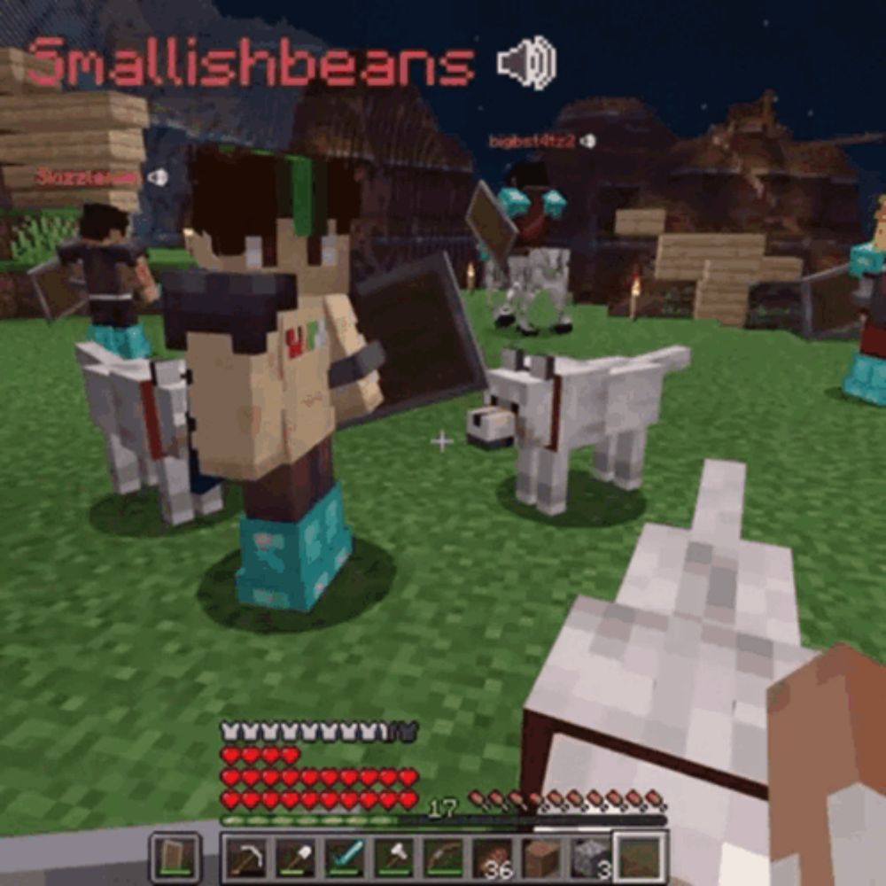 a screenshot of a minecraft game with smallishbeans written above it