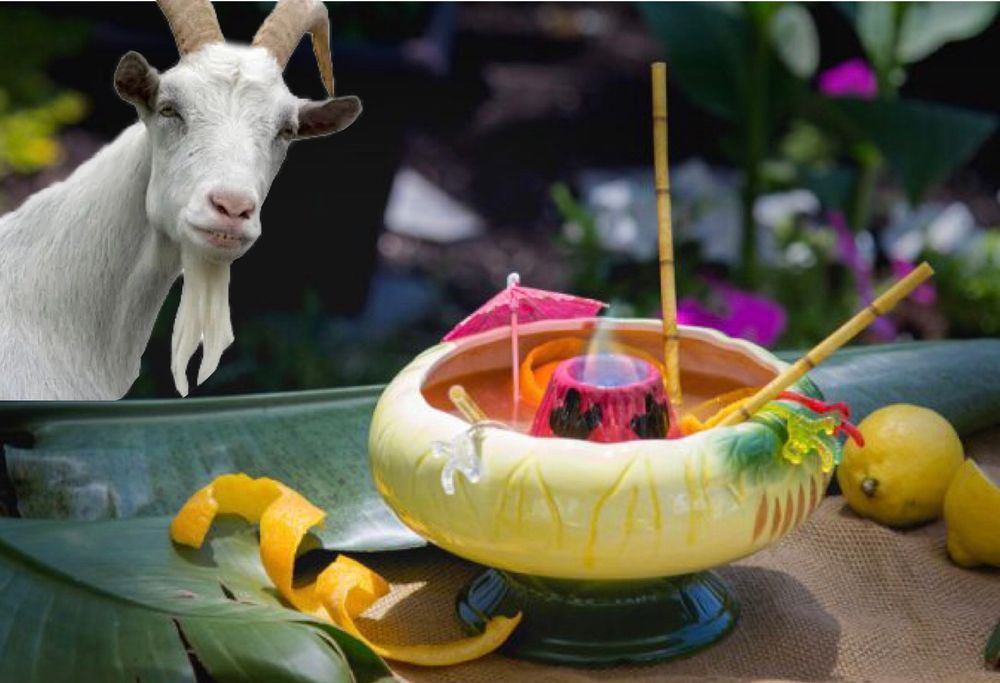 Goat with giant flaming tiki drink