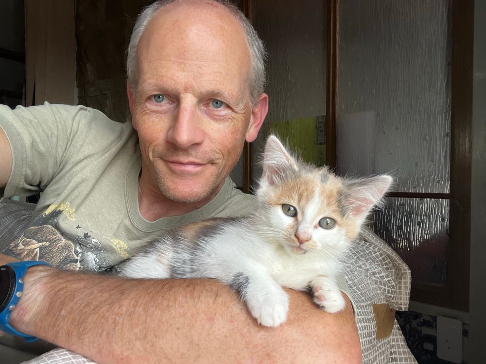 Kitten on my arm. 