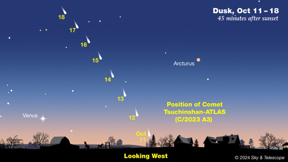 Bright Comet Tsuchinshan-ATLAS Climbs into Evening View