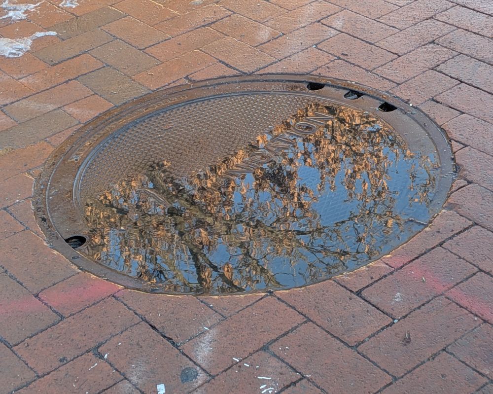 Trees and blue sky are reflected in one half of a manhole cover set in a red brick sidewalk. Some of the reflected trees still have brown leaves on them. There's raised lettering across the center of the cover that reads "COMMUNICATION."