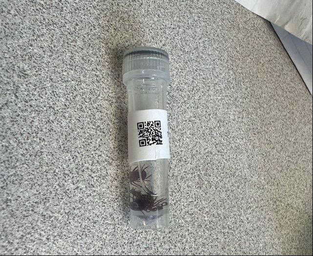 Photograph of a 2mL screw-cap tube containing ticks preserved in a clear liquid, labeled with a QR code generated from the baRcodeR package in R