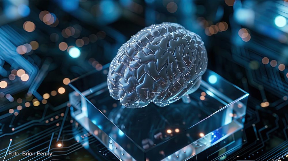 Transparentes 3D-Modell eines menschlichen Gehirns auf einem beleuchteten, transparenten Sockel vor einem unscharfen Hintergrund mit elektronischen Schaltkreisen und Lichtpunkten