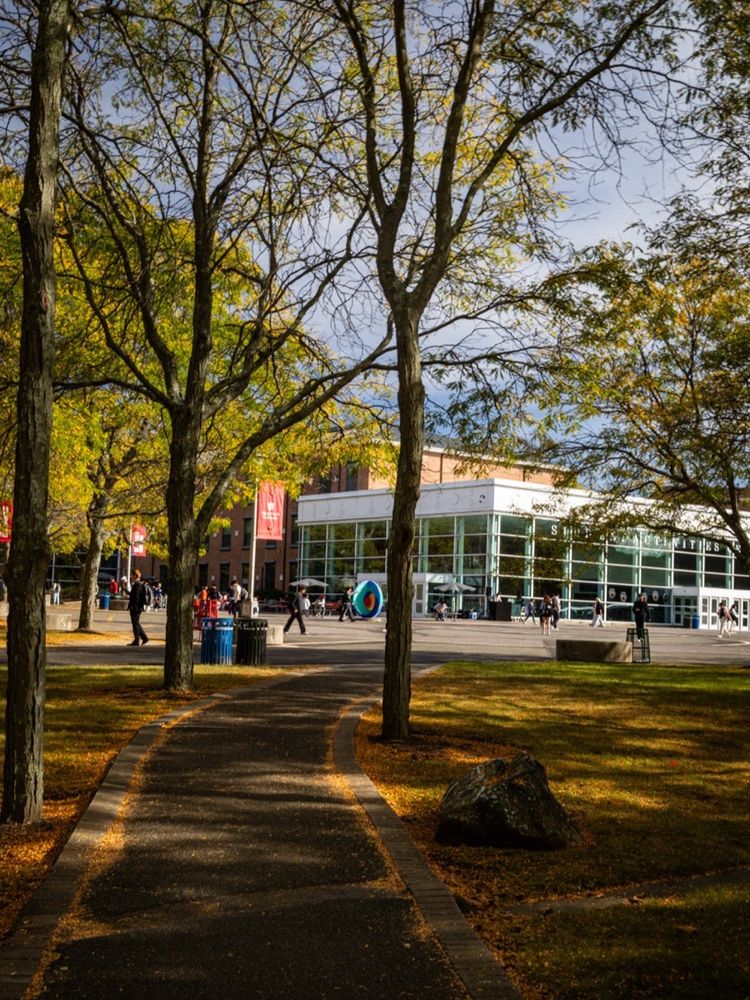 Pathway lined with trees leading to the bustling entrance of the Student Activities Center, on a sunny day with people walking around and orange leaves on the ground.