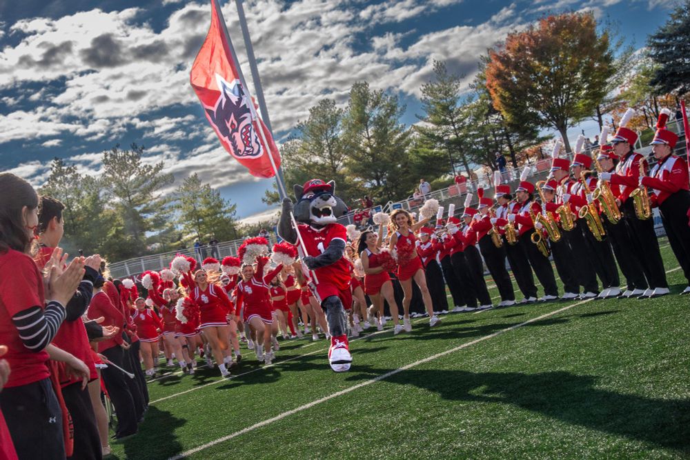 Stony Brook University's mascot, Wolfie the Seawolf, leads the cheer squad out at Homecoming 2025. Wolfie is holding the Seawolf flag and it is sunny day with colorful autumn trees in the background. The band and kids are featured on the outskirts of the photo.