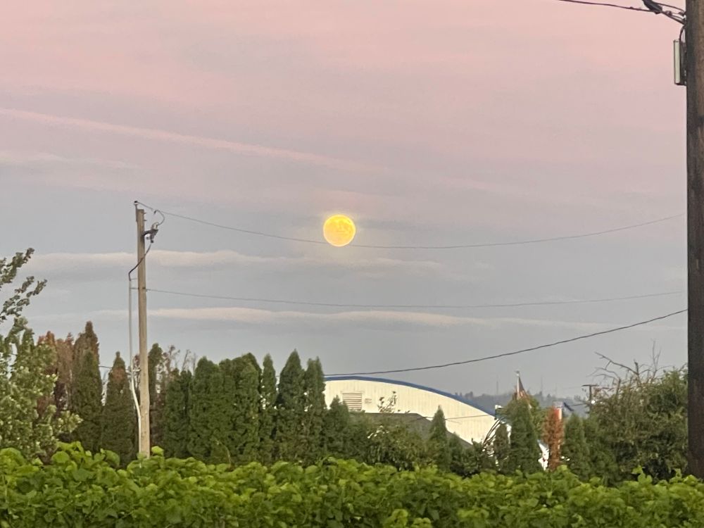 Moon rising