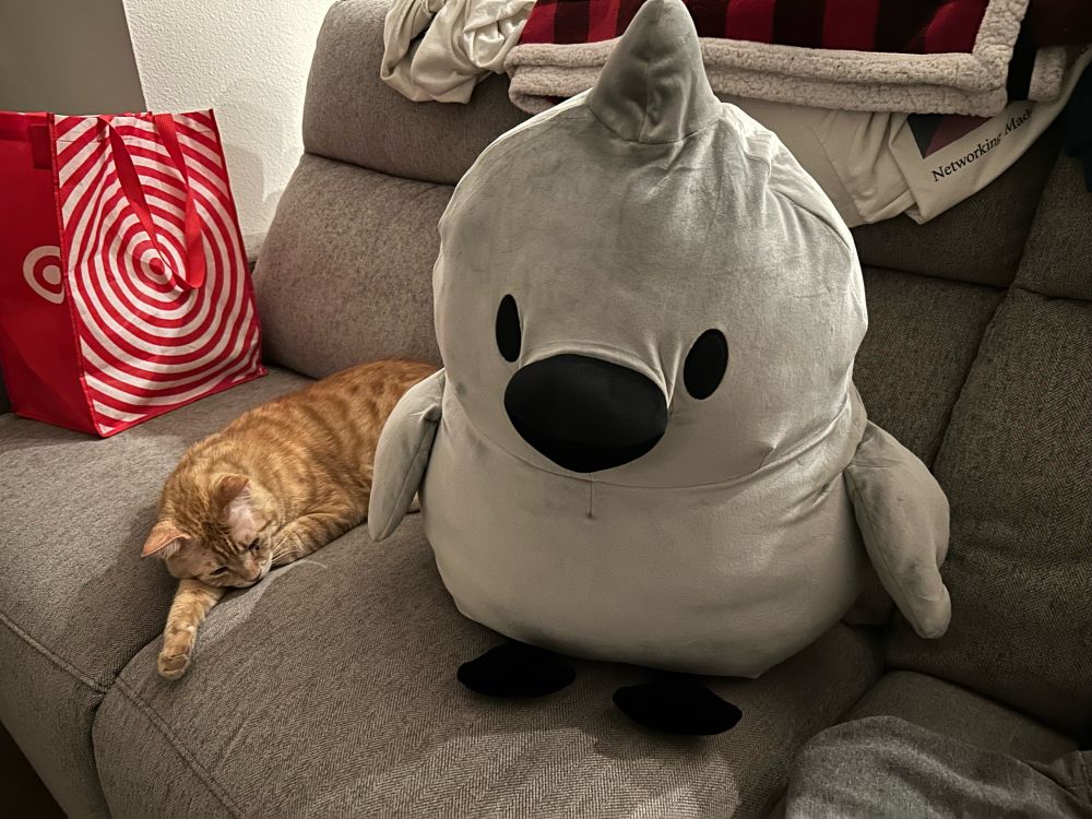 The same giant doodle plush sitting on the couch this time. Acorn lays next to it, sleepily content with his new friend
