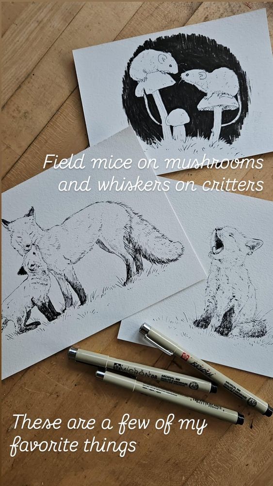 Black and white line drawings of mice and mushrooms and foxes