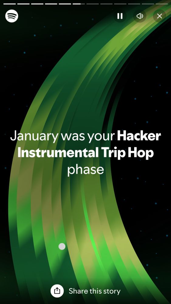 Spotify Wrapped Story with the phrase: “January was your Hacker Instrumental Trip Hop phase.”