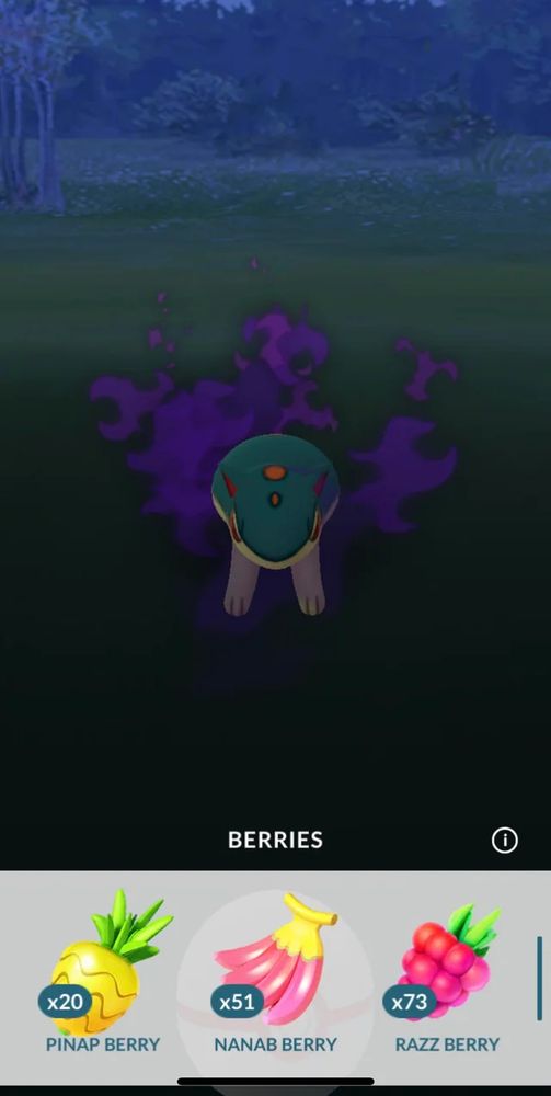 Screenshot of a Shadow Quilava in Pokémon Go. On the bottom are selections for the Pinap, Nanab, and Razz Berries with their respective icons.