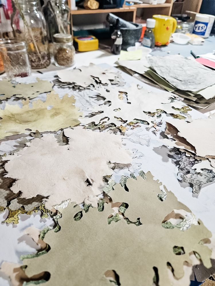 Allison's studio table with scattered paper fragments in organic shapes, naturally dyed papers in earthy tones, and handmade recycled materials prepared for a collage inspired by lobaria lichen.