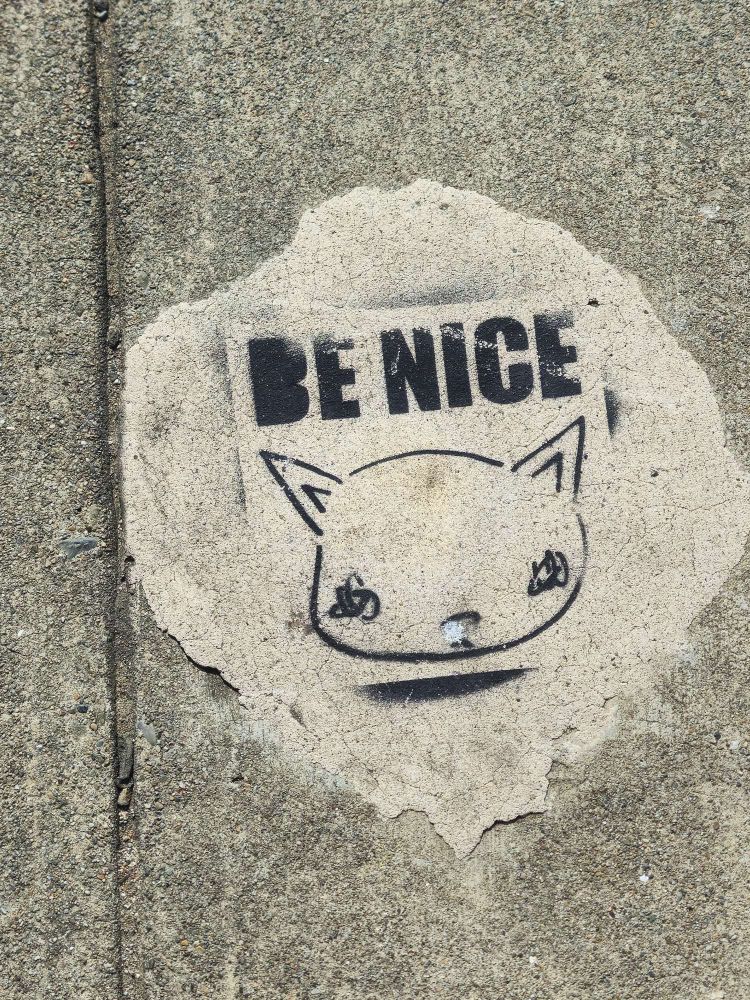 A piece of street art painted on rough concrete in San Francisco shows a stencil-style illustration of a cat’s face with simple lines for ears, eyes, nose, and mouth. Above the cat, the words “BE NICE” are stenciled in bold black capital letters. The paint appears slightly weathered and cracked, blending with the texture of the concrete surface.


