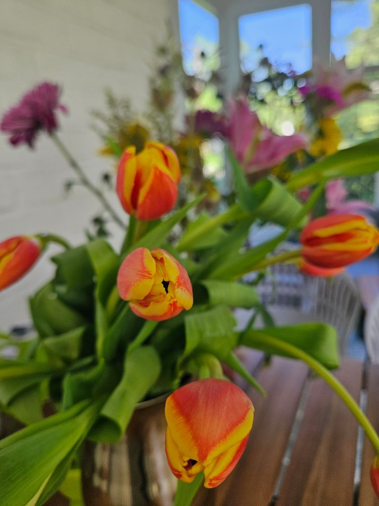 Alt text: A vibrant Mother's Day bouquet featuring orange and yellow tulips in sharp focus, with soft, blurred background flowers in pink, purple, and yellow. The arrangement sits in a metallic vase on a wooden table in a sunlit room with white walls and large windows. The bouquet is destined to be transformed into handmade ink and paper.
