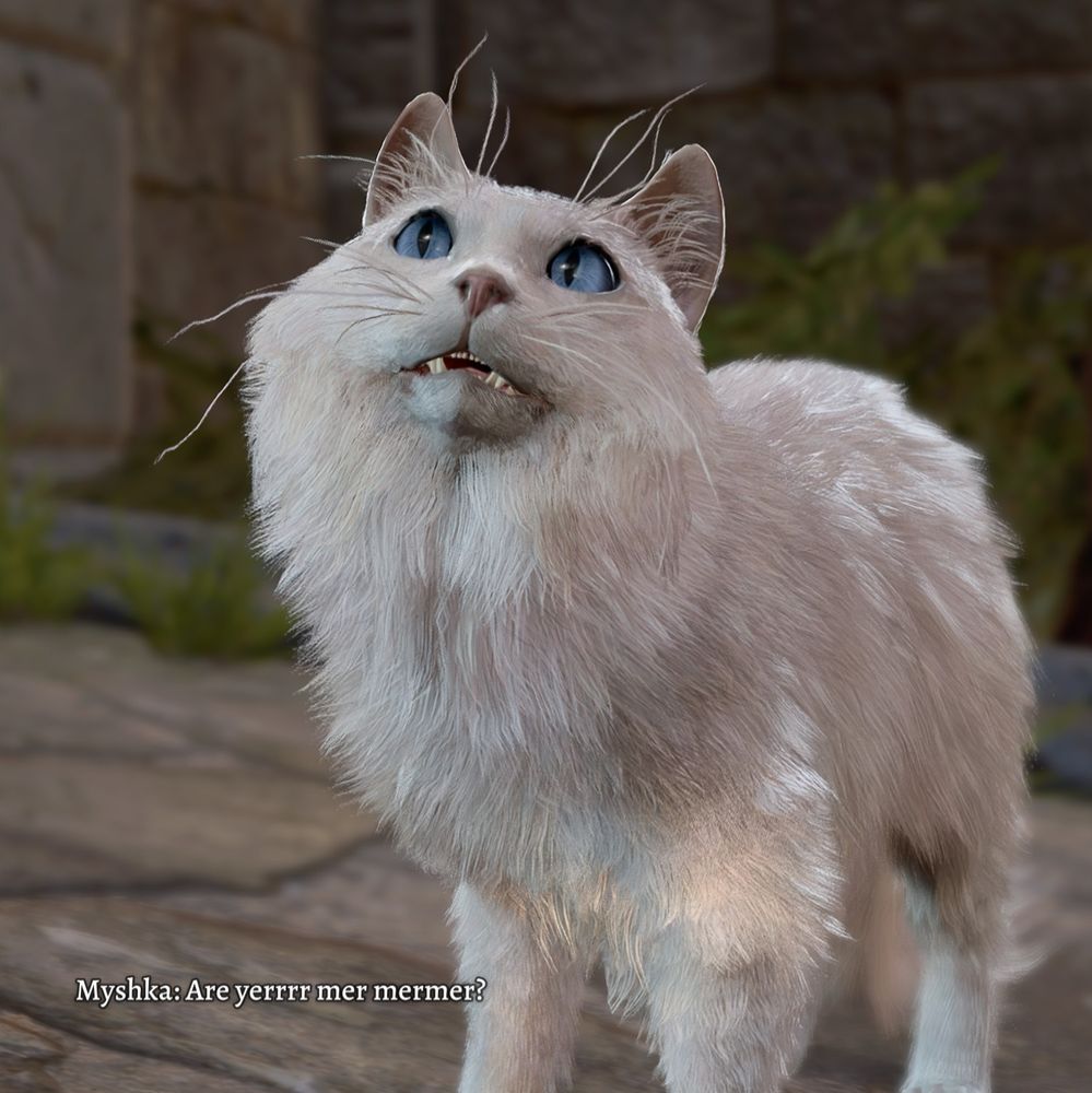 myshka, a white cat with blue eyes from baldur's gate 3. he's asking if my character is his mother. 