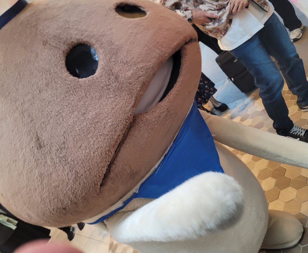 なめこの着ぐるみの写真。周りには人だかりができている。