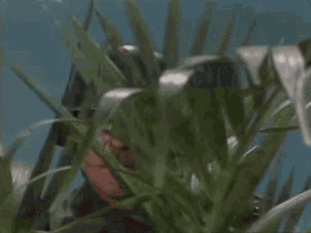 A ruzzian soldier says very interesting