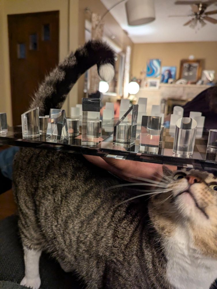 A tabby cat with white paws and a striped tail stands beneath a clear acrylic chessboard with transparent and frosted chess pieces. The cat's curious face peers up from beneath the board, and its tail curls above the surface, resembling one of the chess pieces. The background shows a cozy living room with warm lighting, a ceiling fan, and various decorations including framed artwork on the wall.
