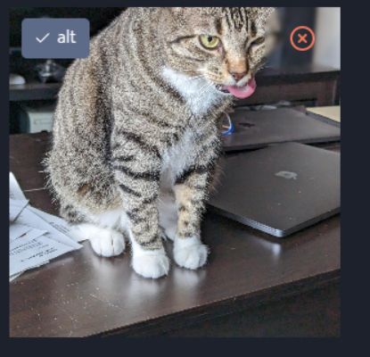 same image as before, but the alt text button has a check now to show that it has alt text added