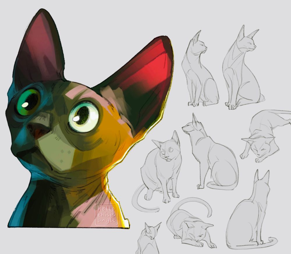 Hairless cat illustration studies, technically nibbles from cyberpunk2077
