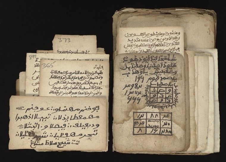 WMS Arabic 529. Source: Wellcome Collection.