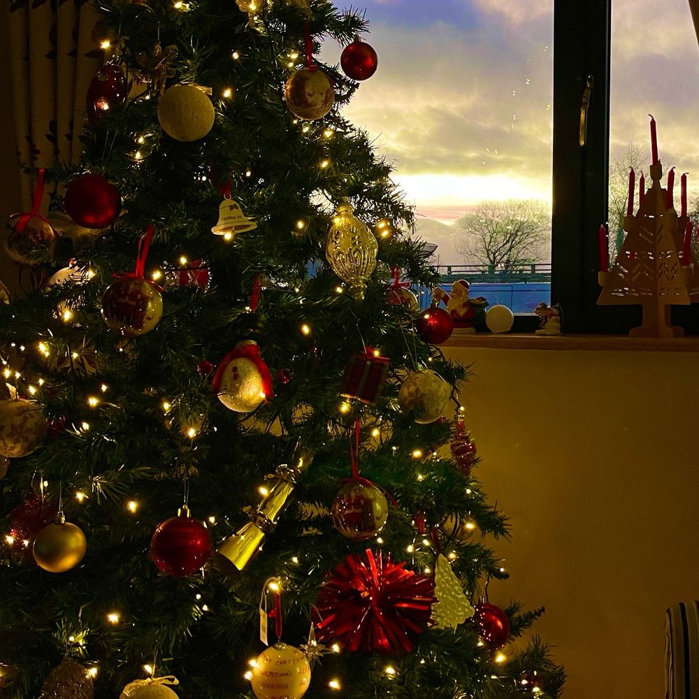Christmas tree in front of a window.