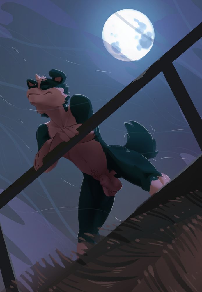 Sabre Dance relaxing after a nighttime walk up to a lookout point