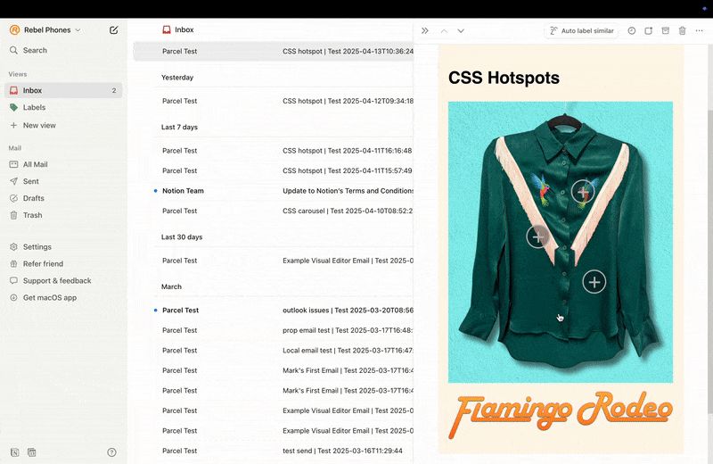 Notion Mail inbox showing an email with a green satin shirt with humbing bird embroidery and pale pink fringe. On the shirt are 3 hotspots, when clicked each one shows a pop up message.