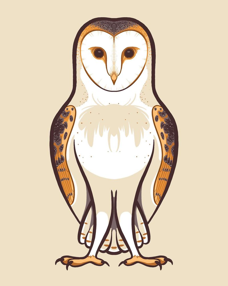 A symmetrical front-facing barn owl in flat colors on a cream colored background. 