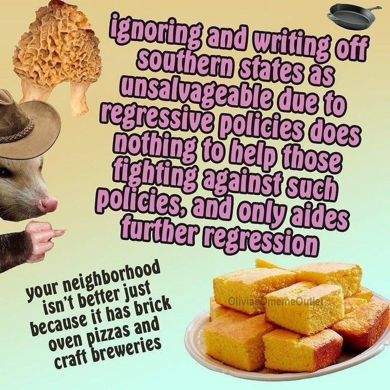 Meme of a possum, morels, and cornbread reading "ignoring and writing off southern states as unsalvageable due to regressive policies does nothing to help those fighting against such policies, and only aides further regression / your neighborhood isn't better just because it has brick oven pizzas and craft breweries"