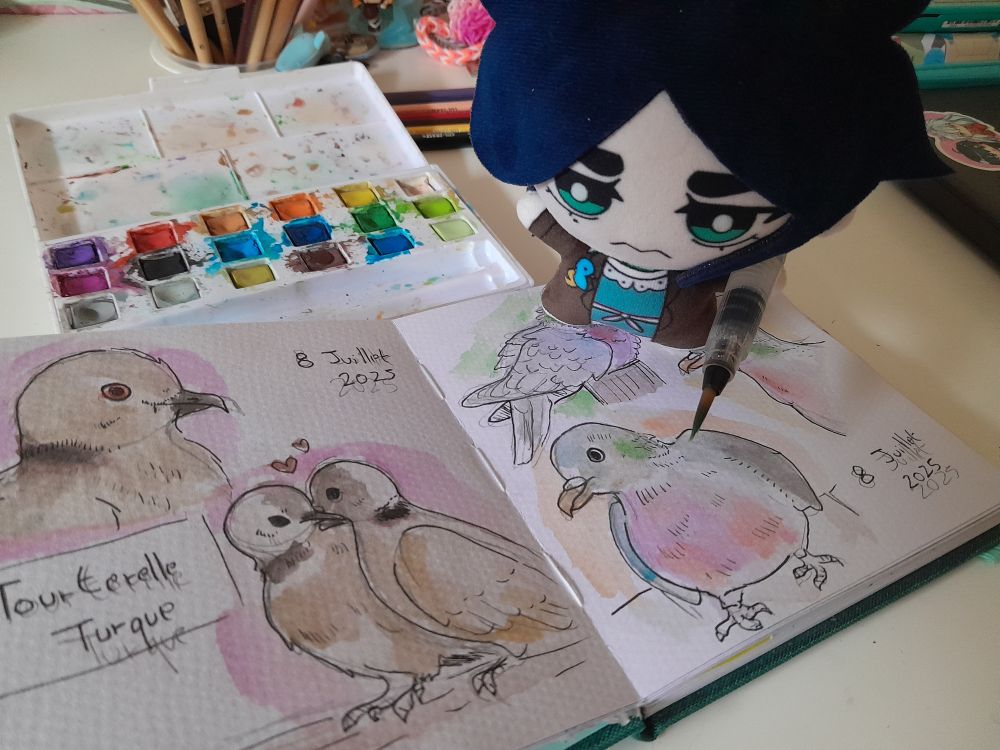 Photo de Diane peluche qui tient un pinceau d'aquarelle, sur le carnet il y a des dessins de tourterelle turque et de pigeon ramier peinte à l'aquarelle, une palette d'aquarelle ouverte est en arrière plan 