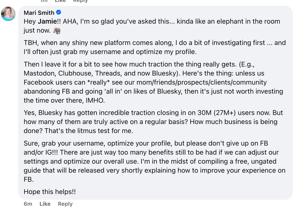 mari smith stance on abandoning meta platforms in favor of using bluesky