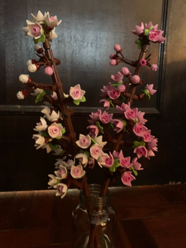my completed Lego set of light and dark pink Sakura flowers.  which I have stood in an empty bottle because I do not have a vase… and Lego flowers obvs need to be in a  vase for…. reasons