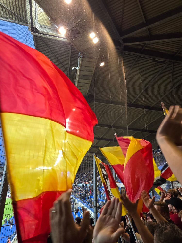 Photo de drapeaux sang & or 