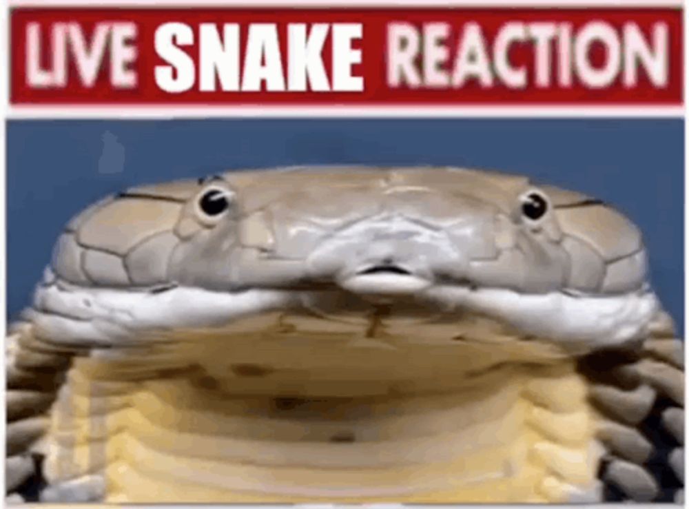 a close up of a snake 's face with a sign that says `` live snake reaction '' behind it .