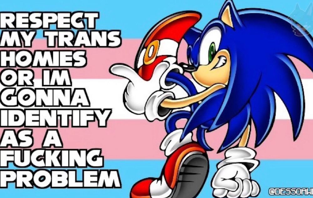 A picture of Sonic the Hedgehog in front of the Trans Pride Flag with the caption “Respect my trans homies or I’m gonna identify as a fucking problem”