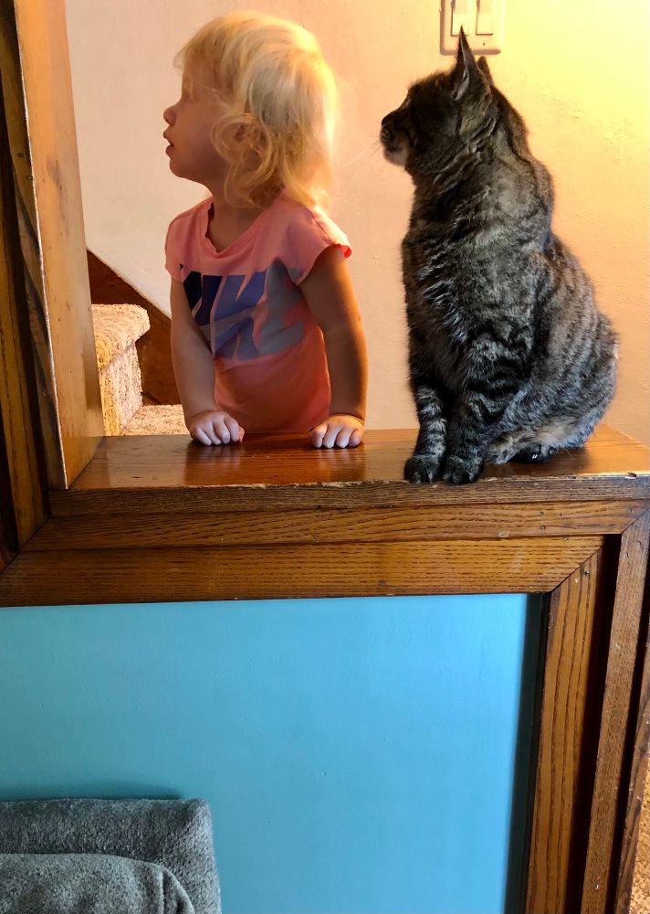 My niece as a toddler, posing identically next to her cat. 