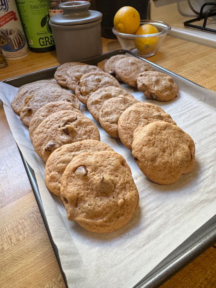 Tray of malted milk chocolate chip cookies 