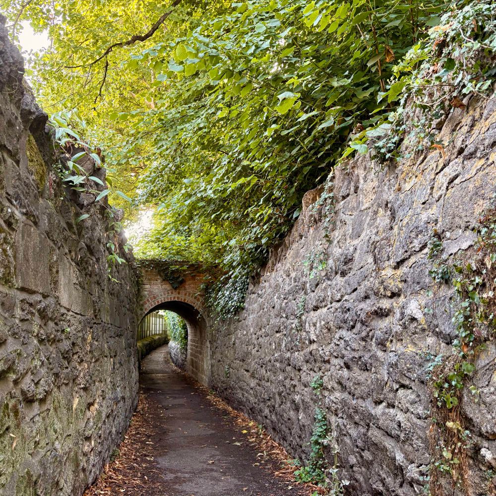 A narrow path with a distant arch, surrounded by green plants and leaves