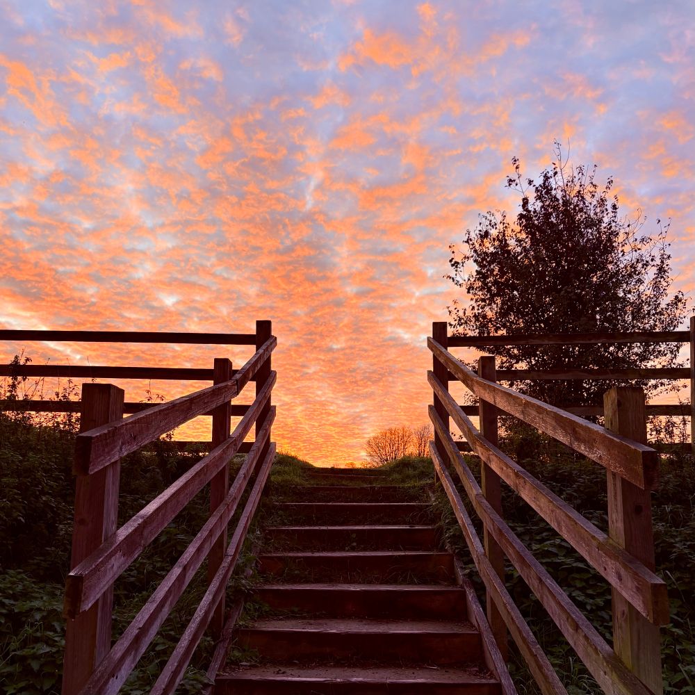 A set of wooden stairs lead up to a path with an orange sunrise behind it. 