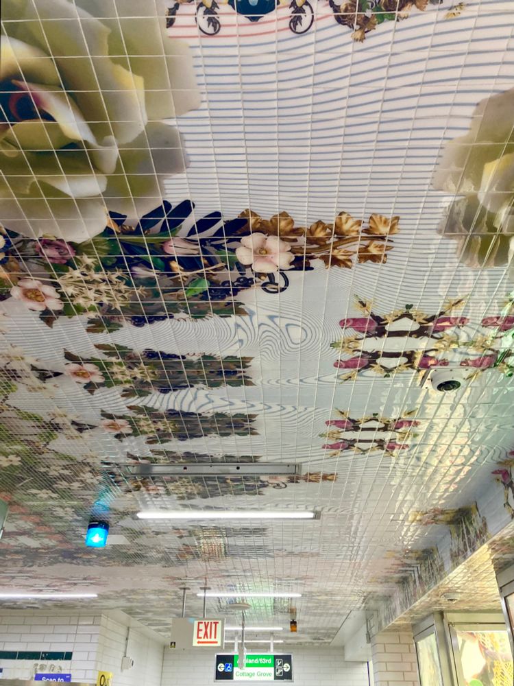 The entry to Garfield Station, looking up at artfully-decorated tiling on the ceiling.