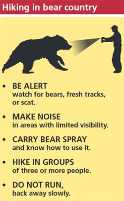 Hiking in bear country
(Graphic of human using bear spray on bear)
• BE ALERT watch for bears, fresh tracks, or scat.
• MAKE NOISE in areas with limited visibility.
• CARRY BEAR SPRAY and know how to use it.
• HIKE IN GROUPS of three or more people.
• DO NOT RUN, back away slowly.