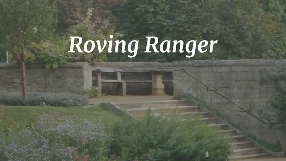 The One-hundred and tenth Roving Ranger