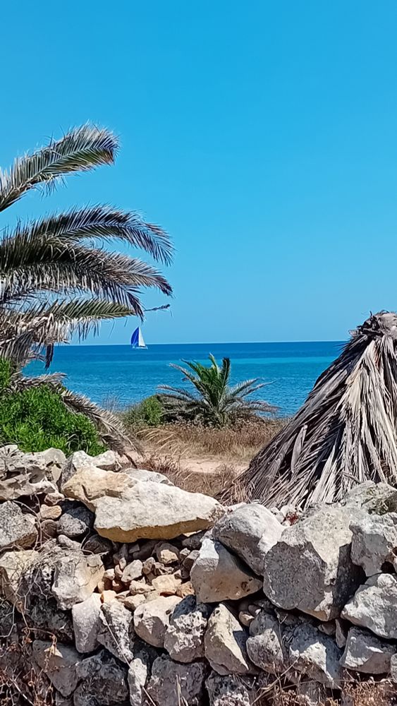 Seaview with a rustic stone wall in the foreground, framed by a low palm tree on the left and a heap of dried palm leaves on the right. In the distance is the blue of the sea with a sail boat to the left on the horizon. 